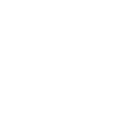 Stone Icon